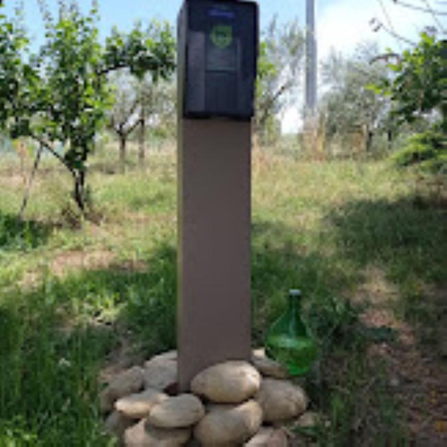 Agriturismo Il Bacucco Montecarotto 外观 照片