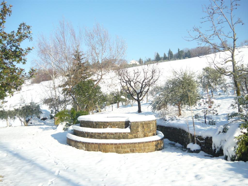 Agriturismo Il Bacucco Montecarotto 外观 照片