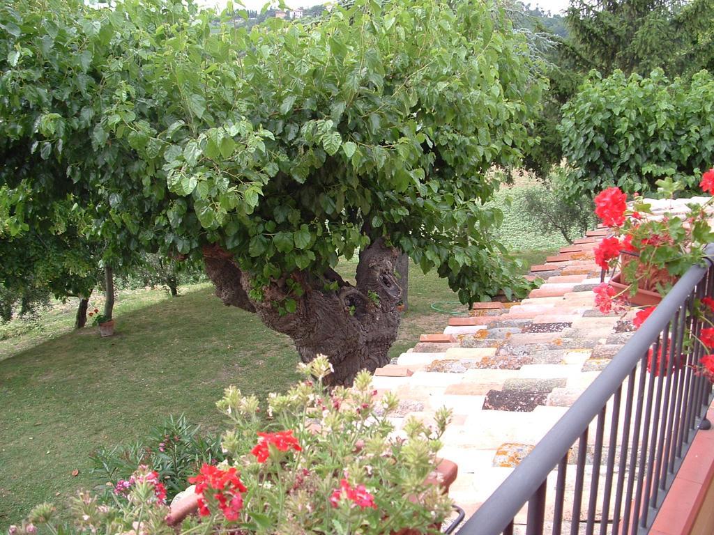 Agriturismo Il Bacucco Montecarotto 外观 照片