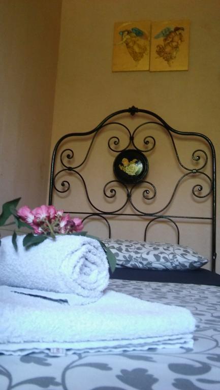 Agriturismo Il Bacucco Montecarotto 外观 照片