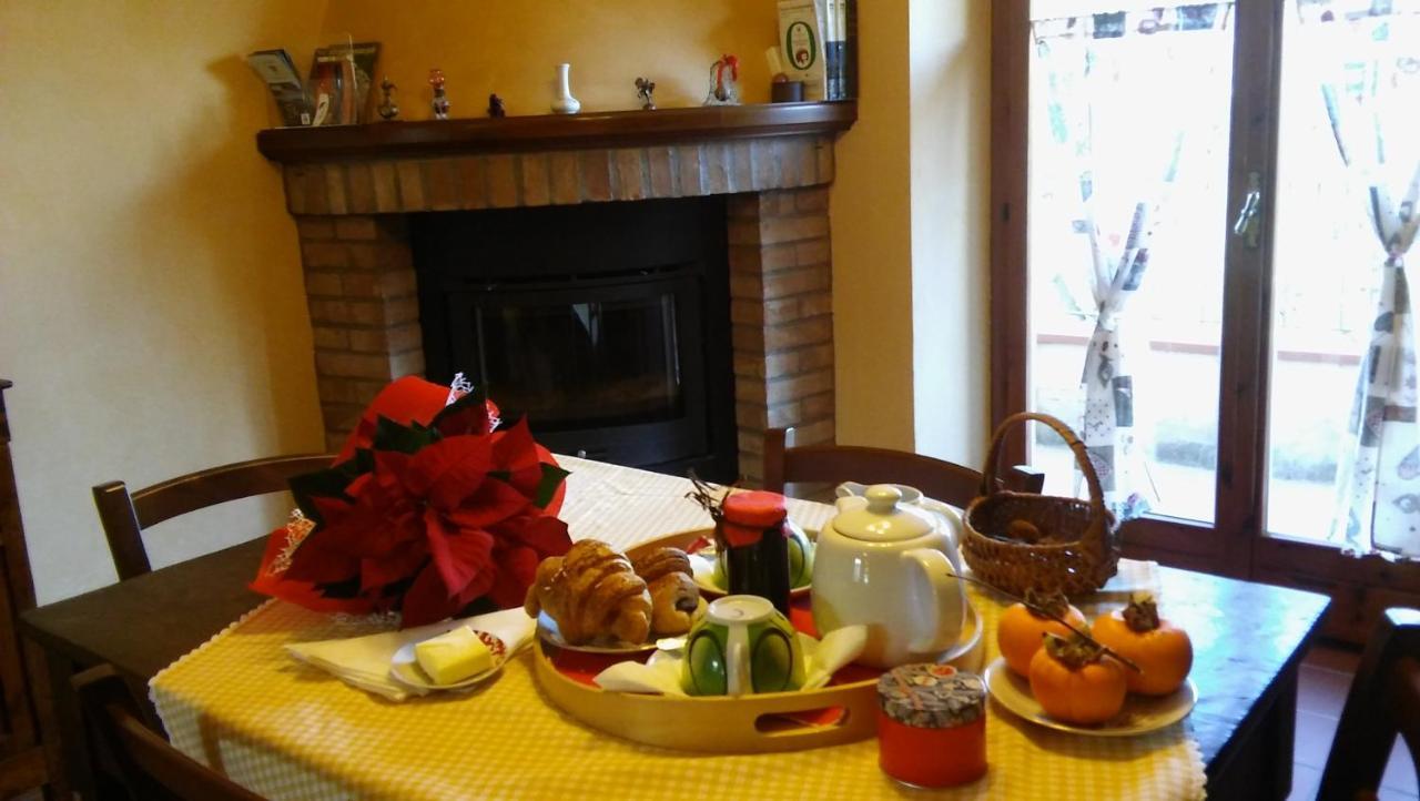 Agriturismo Il Bacucco Montecarotto 外观 照片