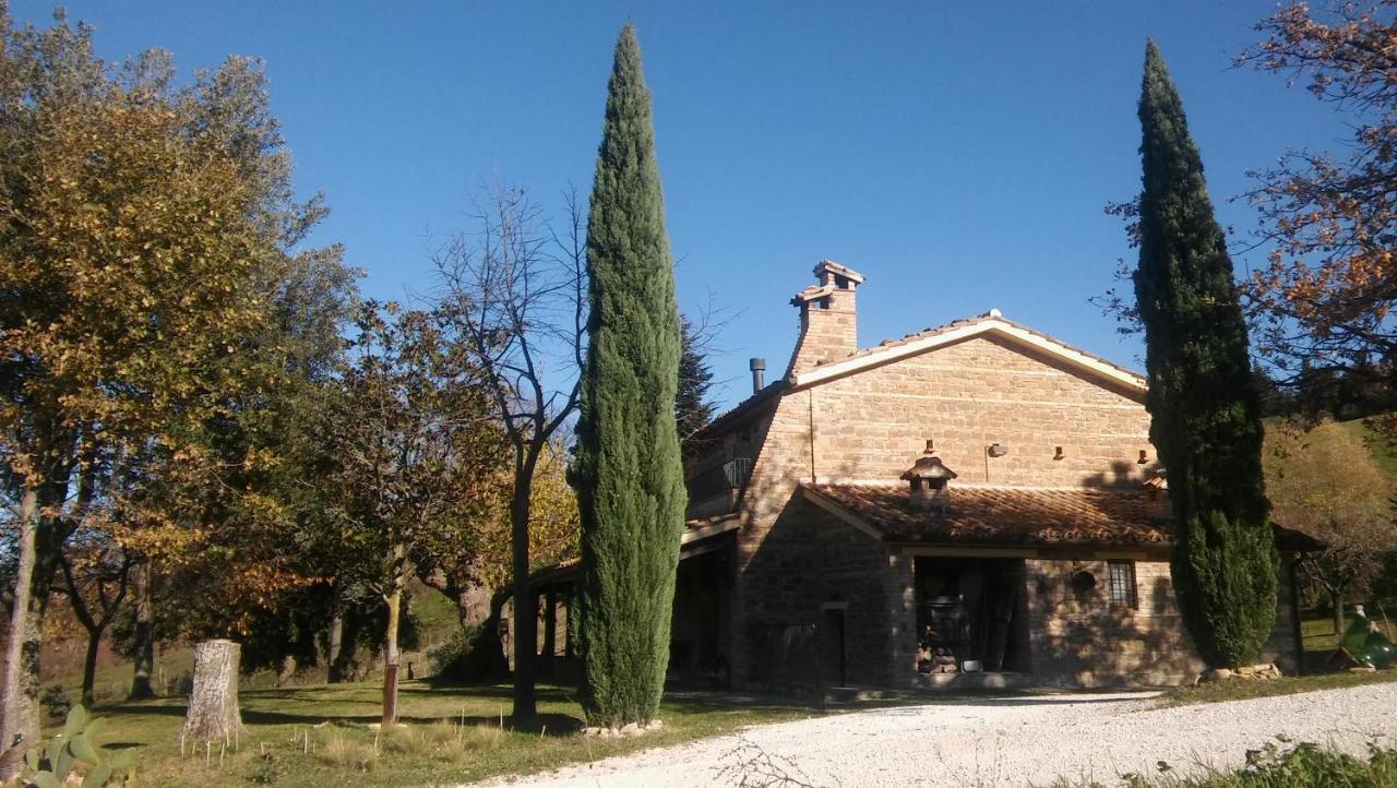 Agriturismo Il Bacucco Montecarotto 外观 照片