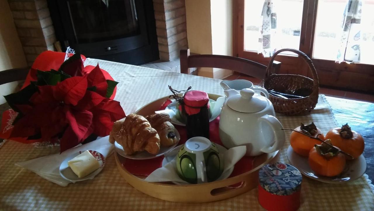 Agriturismo Il Bacucco Montecarotto 外观 照片