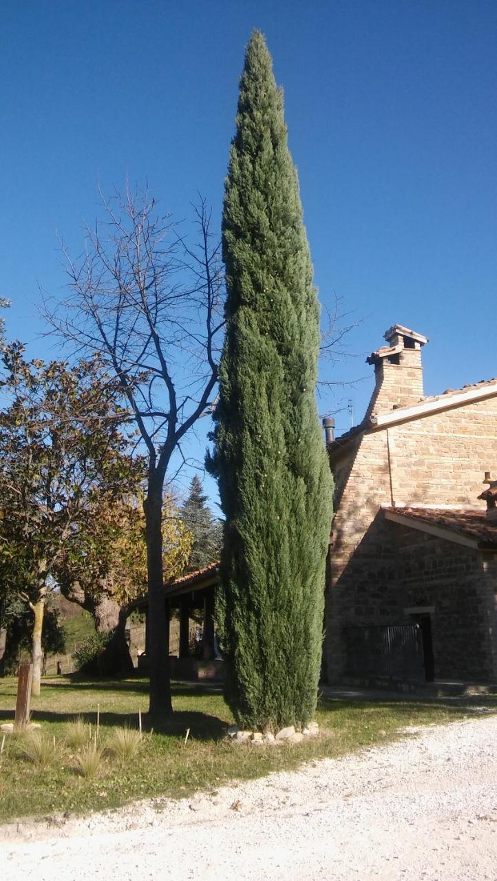 Agriturismo Il Bacucco Montecarotto 外观 照片